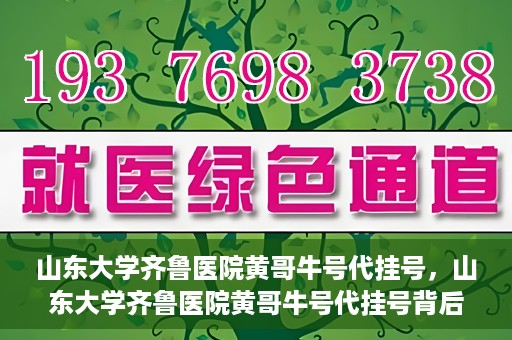 山东大学齐鲁医院黄哥牛号代挂号，山东大学齐鲁医院黄哥牛号代挂号背后的故事与探索