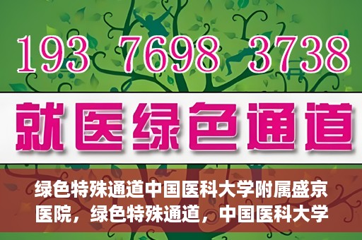 绿色特殊通道中国医科大学附属盛京医院，绿色特殊通道，中国医科大学附属盛京医院的探索与实践