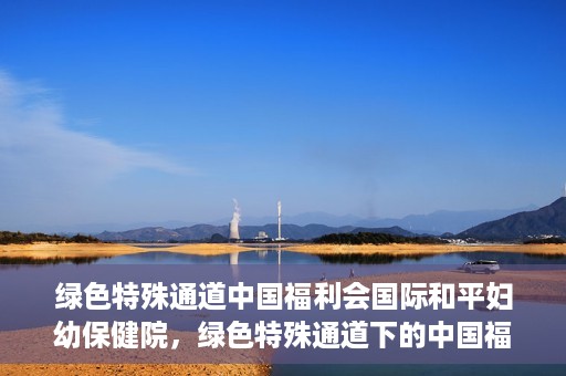 绿色特殊通道中国福利会国际和平妇幼保健院，绿色特殊通道下的中国福利会国际和平妇幼保健院，守护母婴健康的温馨港湾