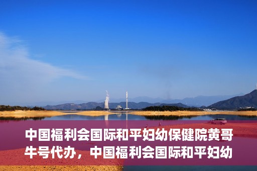 中国福利会国际和平妇幼保健院黄哥牛号代办，中国福利会国际和平妇幼保健院黄哥牛号业务代办全解析
