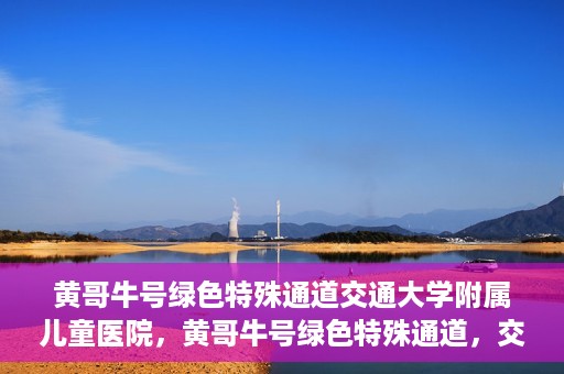黄哥牛号绿色特殊通道交通大学附属儿童医院，黄哥牛号绿色特殊通道，交通大学附属儿童医院的探索与实践