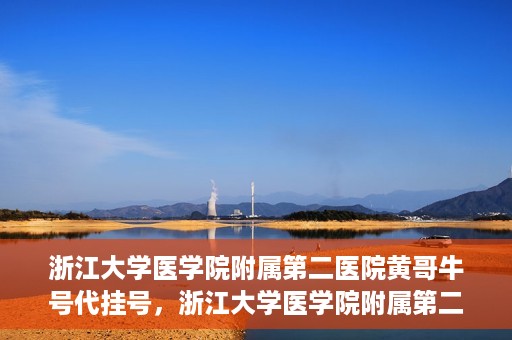 浙江大学医学院附属第二医院黄哥牛号代挂号，浙江大学医学院附属第二医院黄哥牛号挂号服务解析
