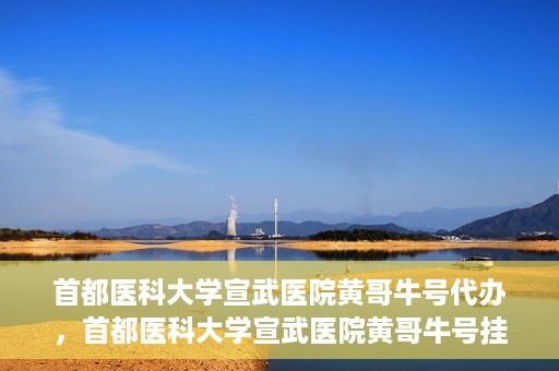 首都医科大学宣武医院黄哥牛号代办，首都医科大学宣武医院黄哥牛号挂号代办攻略