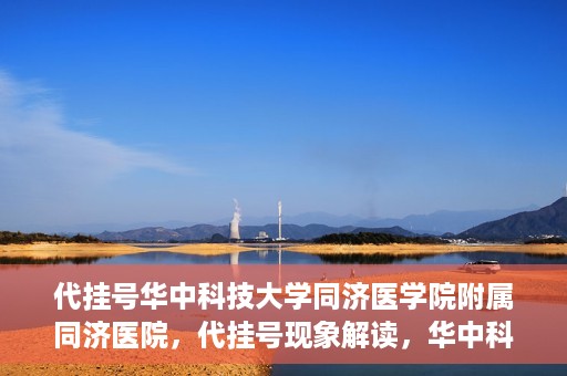 代挂号华中科技大学同济医学院附属同济医院，代挂号现象解读，华中科技大学同济医学院附属同济医院的医疗管理与挑战