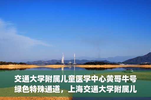 交通大学附属儿童医学中心黄哥牛号绿色特殊通道，上海交通大学附属儿童医学中心黄哥牛号，绿色特殊通道的守护者们