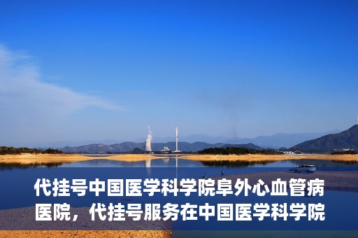代挂号中国医学科学院阜外心血管病医院，代挂号服务在中国医学科学院阜外心血管病医院，预约挂号新体验与挑战