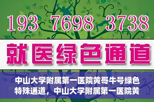 中山大学附属第一医院黄哥牛号绿色特殊通道，中山大学附属第一医院黄哥牛号，绿色特殊通道开启健康之门