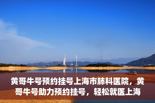 黄哥牛号预约挂号上海市肺科医院，黄哥牛号助力预约挂号，轻松就医上海市肺科医院