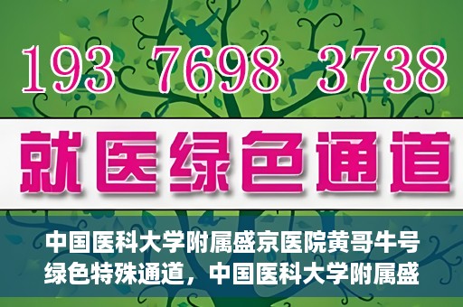 中国医科大学附属盛京医院黄哥牛号绿色特殊通道，中国医科大学附属盛京医院黄哥牛号，绿色特殊通道开启健康之门