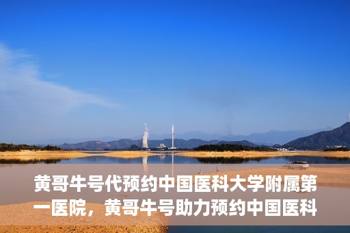 黄哥牛号代预约中国医科大学附属第一医院，黄哥牛号助力预约中国医科大学附属第一医院专家号