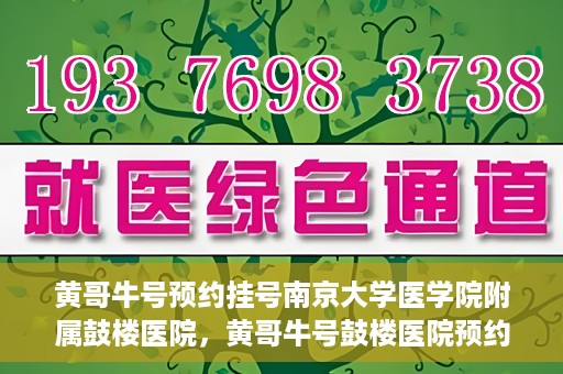 黄哥牛号预约挂号南京大学医学院附属鼓楼医院，黄哥牛号鼓楼医院预约挂号启动，便捷就医新体验