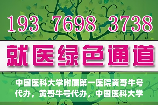 中国医科大学附属第一医院黄哥牛号代办，黄哥牛号代办，中国医科大学附属第一医院挂号服务新动向