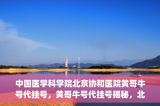中国医学科学院北京协和医院黄哥牛号代挂号，黄哥牛号代挂号揭秘，北京协和医院挂号背后的故事