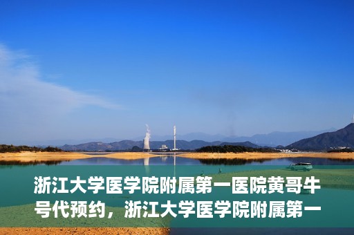 浙江大学医学院附属第一医院黄哥牛号代预约，浙江大学医学院附属第一医院黄哥牛号预约攻略揭秘