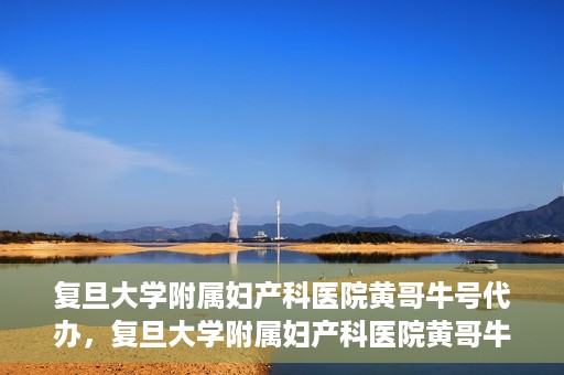 复旦大学附属妇产科医院黄哥牛号代办，复旦大学附属妇产科医院黄哥牛号代办，专业医疗服务的信誉之选
