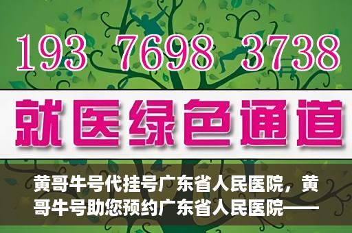 黄哥牛号代挂号广东省人民医院，黄哥牛号助您预约广东省人民医院——便捷代挂号服务