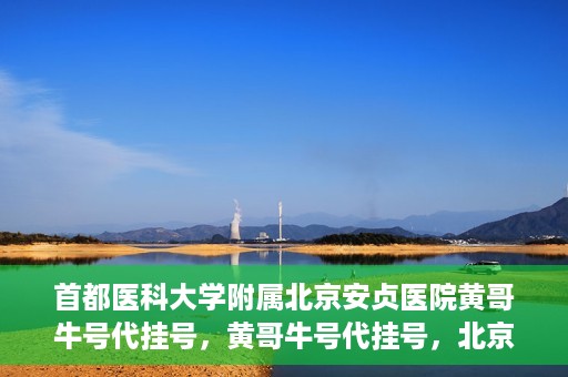 首都医科大学附属北京安贞医院黄哥牛号代挂号，黄哥牛号代挂号，北京安贞医院挂号新途径探索