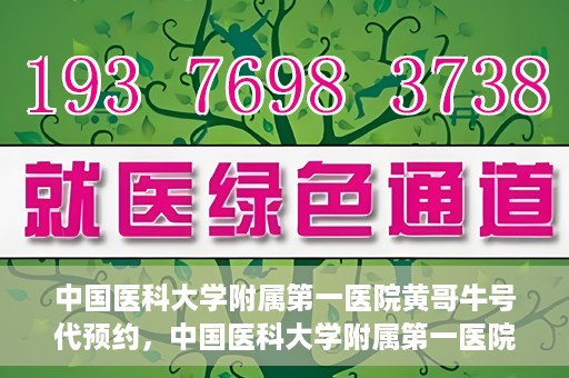 中国医科大学附属第一医院黄哥牛号代预约，中国医科大学附属第一医院黄哥牛号预约服务详解