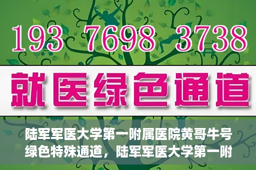 陆军军医大学第一附属医院黄哥牛号绿色特殊通道，陆军军医大学第一附属医院黄哥牛号，绿色特殊通道开启健康之门