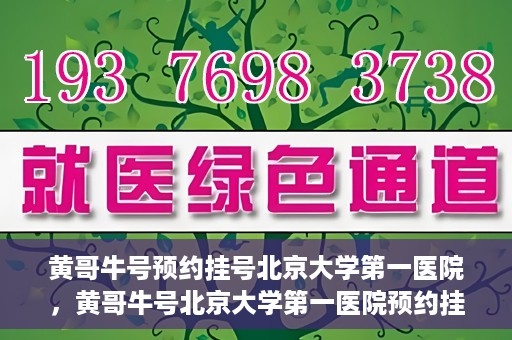 黄哥牛号预约挂号北京大学第一医院，黄哥牛号北京大学第一医院预约挂号攻略