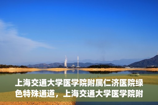 上海交通大学医学院附属仁济医院绿色特殊通道，上海交通大学医学院附属仁济医院绿色特殊通道，高效医疗服务的创新实践
