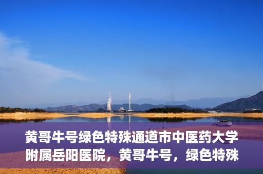 黄哥牛号绿色特殊通道市中医药大学附属岳阳医院，黄哥牛号，绿色特殊通道助力中医药大学附属岳阳医院健康前行