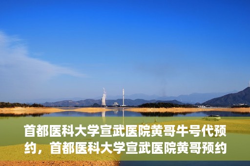 首都医科大学宣武医院黄哥牛号代预约，首都医科大学宣武医院黄哥预约代挂号服务解析