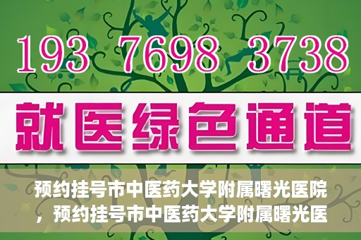 预约挂号市中医药大学附属曙光医院，预约挂号市中医药大学附属曙光医院，一站式便捷就医服务新体验