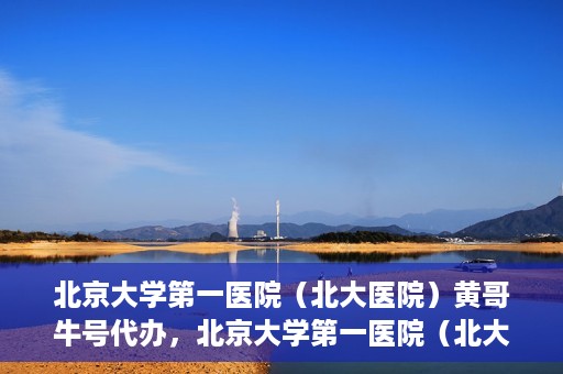 北京大学第一医院（北大医院）黄哥牛号代办，北京大学第一医院（北大医院）黄哥牛号代办，揭秘背后的故事