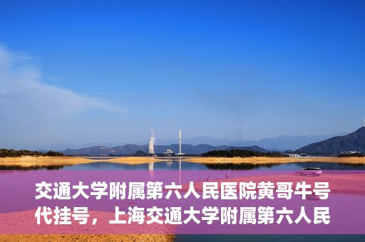 交通大学附属第六人民医院黄哥牛号代挂号，上海交通大学附属第六人民医院黄哥牛号代挂号攻略