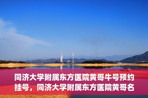 同济大学附属东方医院黄哥牛号预约挂号，同济大学附属东方医院黄哥名医牛号预约挂号攻略