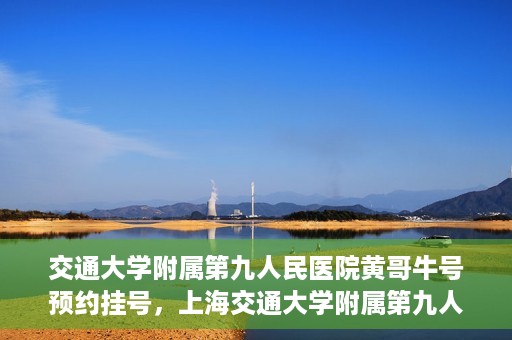 交通大学附属第九人民医院黄哥牛号预约挂号，上海交通大学附属第九人民医院黄哥名医号预约挂号攻略
