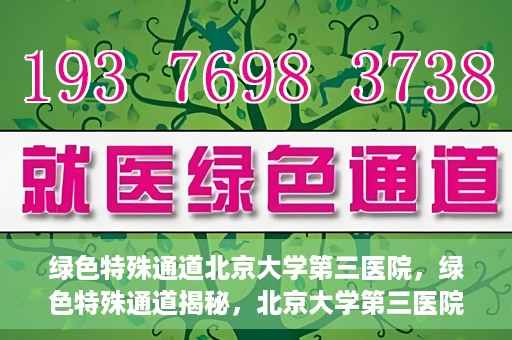 绿色特殊通道北京大学第三医院，绿色特殊通道揭秘，北京大学第三医院的探索与实践