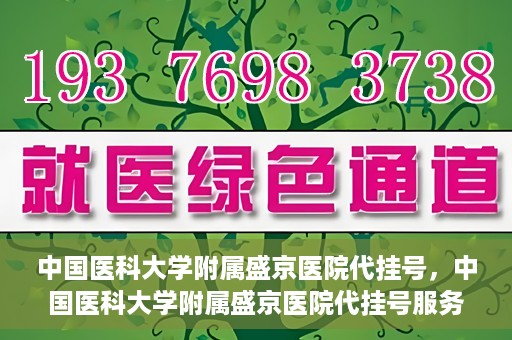 中国医科大学附属盛京医院代挂号，中国医科大学附属盛京医院代挂号服务详解