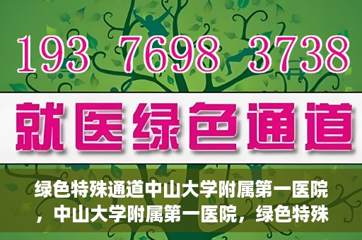 绿色特殊通道中山大学附属第一医院，中山大学附属第一医院，绿色特殊通道开启健康之门