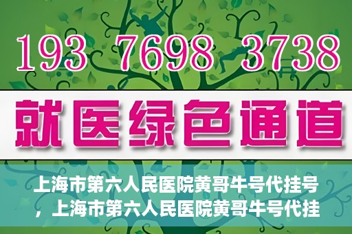 上海市第六人民医院黄哥牛号代挂号，上海市第六人民医院黄哥牛号代挂号攻略揭秘