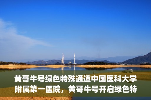 黄哥牛号绿色特殊通道中国医科大学附属第一医院，黄哥牛号开启绿色特殊通道，中国医科大学附属第一医院助力健康中国行动