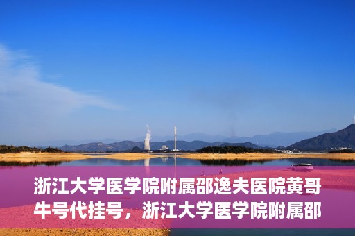 浙江大学医学院附属邵逸夫医院黄哥牛号代挂号，浙江大学医学院附属邵逸夫医院黄哥牛号助您预约挂号体验