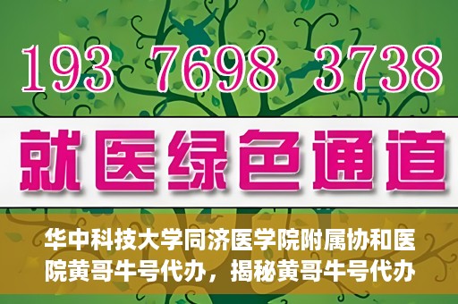 华中科技大学同济医学院附属协和医院黄哥牛号代办，揭秘黄哥牛号代办背后的故事，华中科技大学同济医学院附属协和医院就医新途径探索