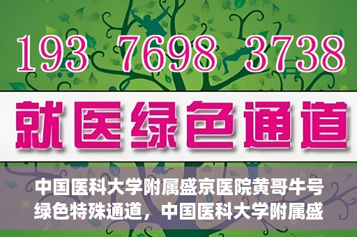 中国医科大学附属盛京医院黄哥牛号绿色特殊通道，中国医科大学附属盛京医院黄哥牛号，绿色特殊通道开启健康之门
