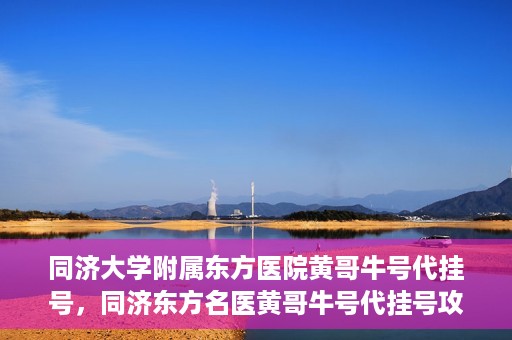 同济大学附属东方医院黄哥牛号代挂号，同济东方名医黄哥牛号代挂号攻略