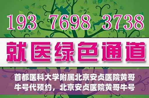 首都医科大学附属北京安贞医院黄哥牛号代预约，北京安贞医院黄哥牛号预约服务解析