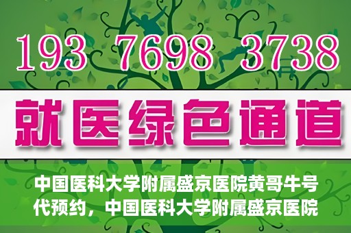 中国医科大学附属盛京医院黄哥牛号代预约，中国医科大学附属盛京医院黄哥牛号预约服务解析