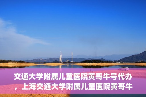 交通大学附属儿童医院黄哥牛号代办，上海交通大学附属儿童医院黄哥牛号代办揭秘，真相与警示
