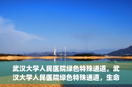 武汉大学人民医院绿色特殊通道，武汉大学人民医院绿色特殊通道，生命救援的紧急通道