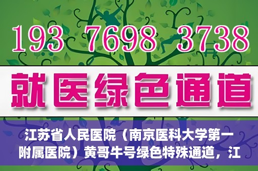 江苏省人民医院（南京医科大学第一附属医院）黄哥牛号绿色特殊通道，江苏省人民医院绿色特殊通道，黄哥牛号的医疗速度与温情服务
