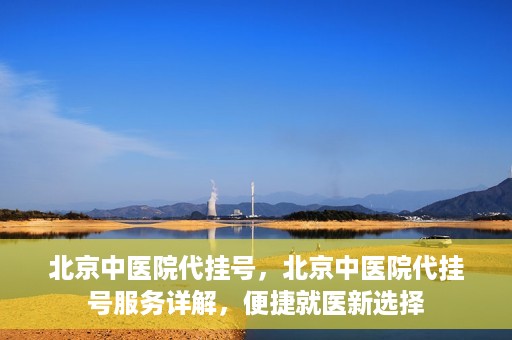 北京中医院代挂号，北京中医院代挂号服务详解，便捷就医新选择