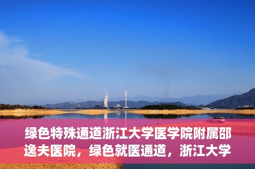 绿色特殊通道浙江大学医学院附属邵逸夫医院，绿色就医通道，浙江大学医学院附属邵逸夫医院的探索与实践