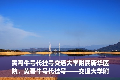 黄哥牛号代挂号交通大学附属新华医院，黄哥牛号代挂号——交通大学附属新华医院的健康护航之路
