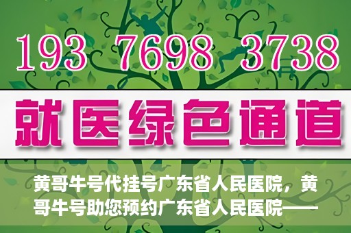 黄哥牛号代挂号广东省人民医院，黄哥牛号助您预约广东省人民医院——便捷代挂号服务